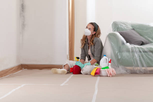Reliable Mold Remediation contractor in Belleville, NJ by Car Mold Remediation